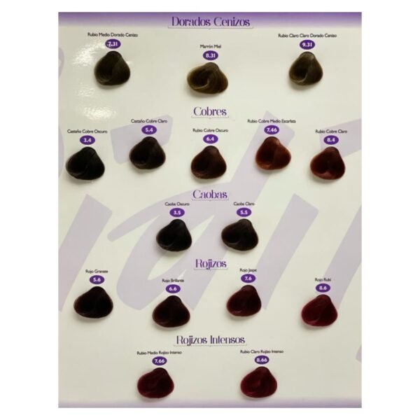 Tintes Bidiip - Image 3